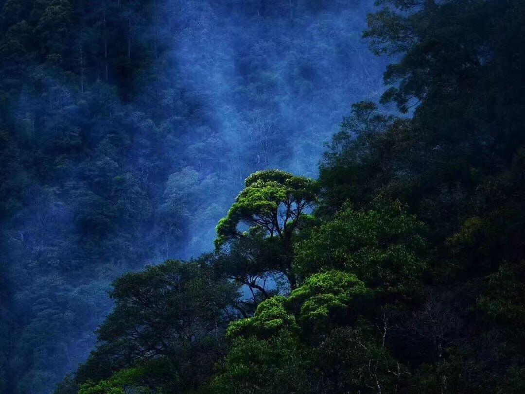 僵尸敲方块