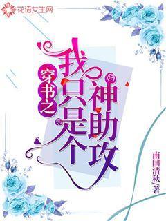 哥特舰队
